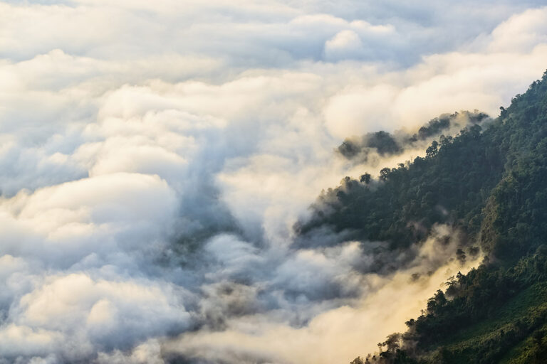 The Post-Pandemic Future Is In The Cloud