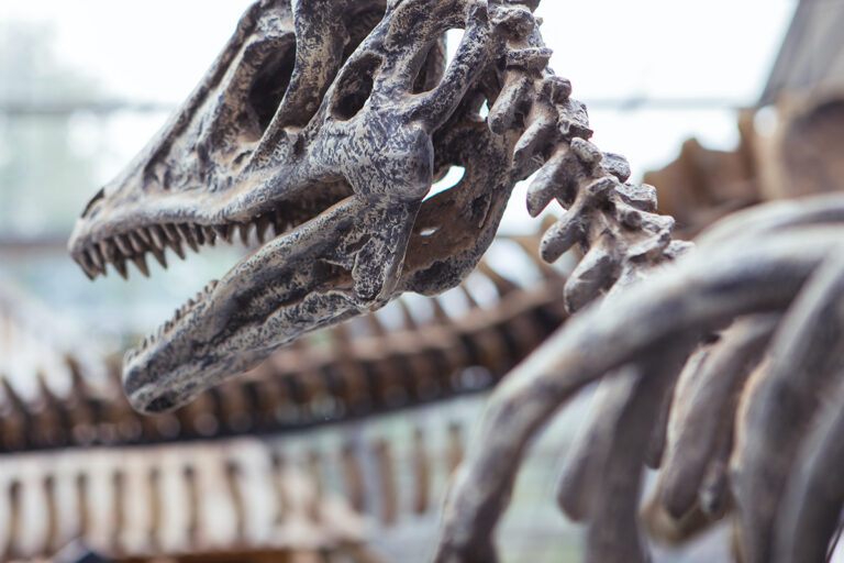 Digital technology reveals secrets of UK’s earliest dinosaur